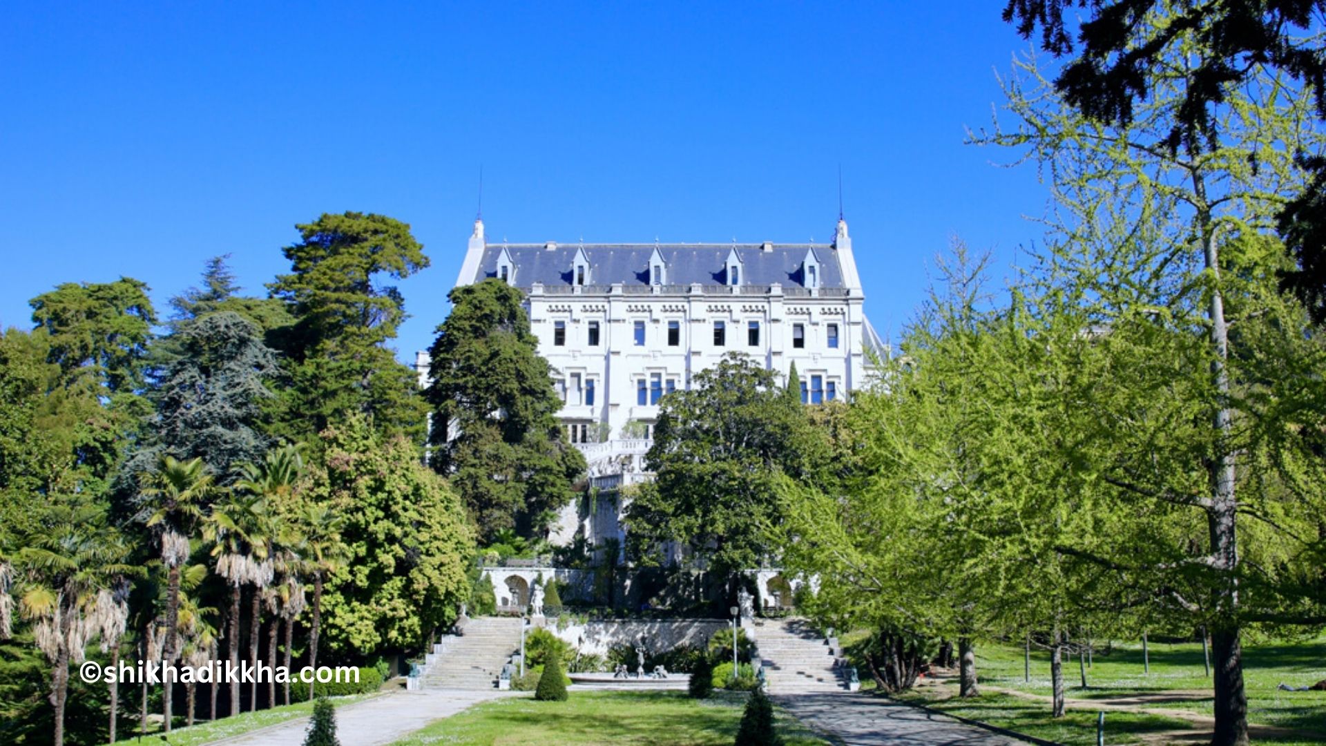 Université Côte d'Azur