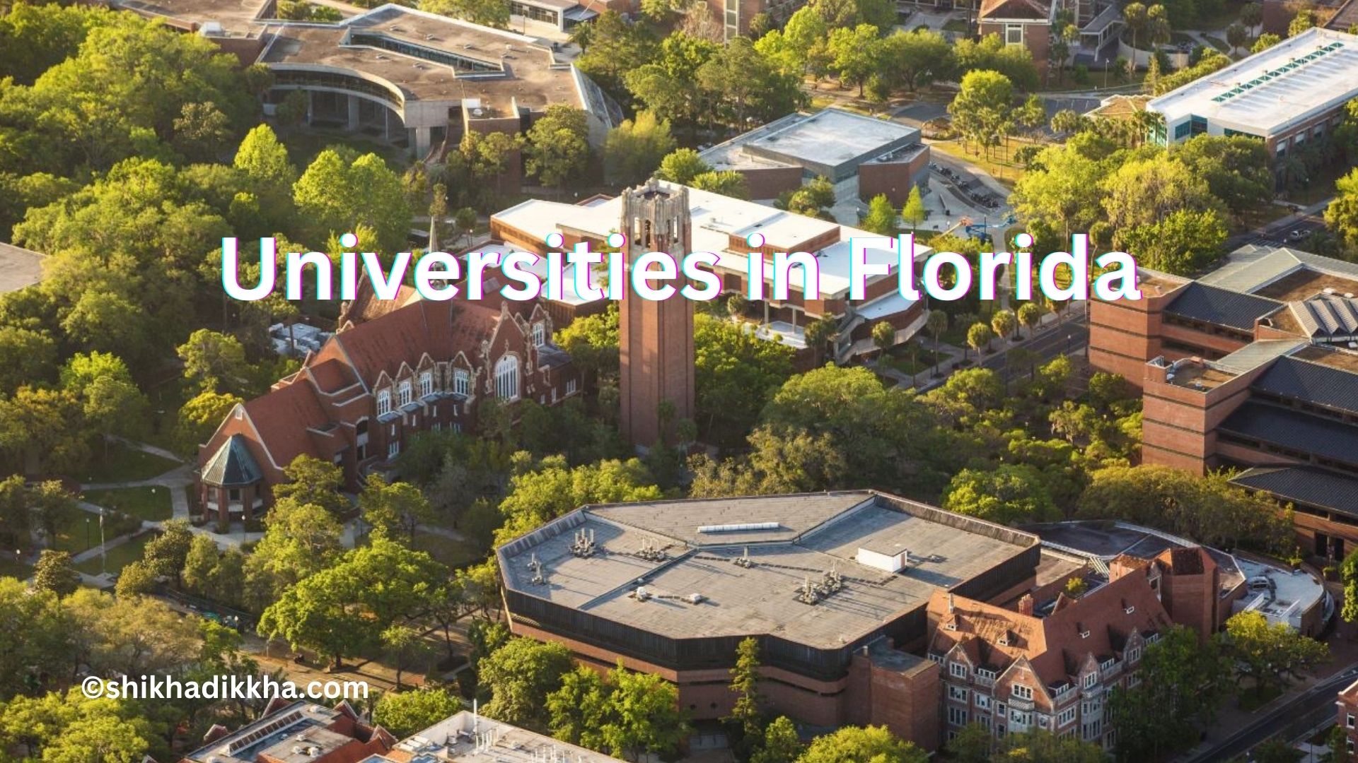 Top 20 Universities in Florida 2024