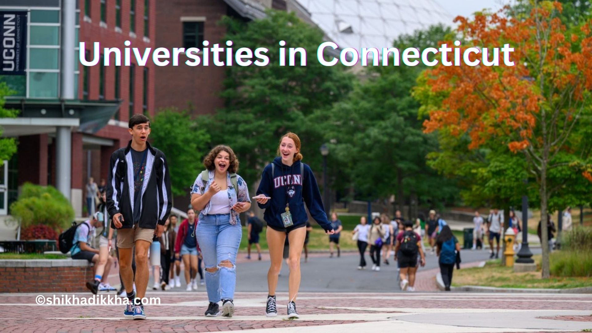 Top 20 Universities in Connecticut 2024